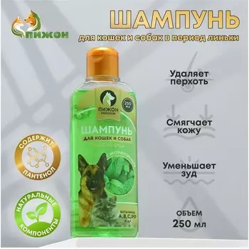 Шампунь