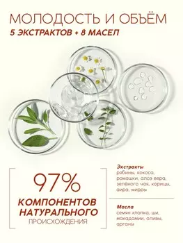 Шампунь для волос, молодость и объем, аромат рябины, 250 мл, рябина