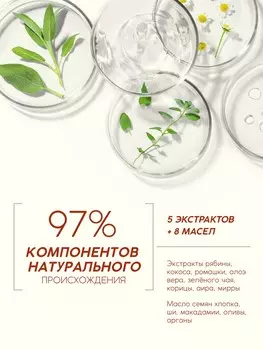 Шампунь для волос, молодость и объем, аромат рябины, 400 мл, рябина