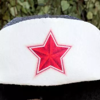 Шапка ушанка