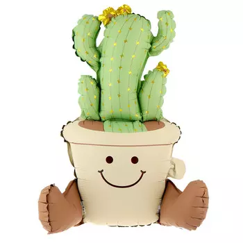 Шар воздушный фольгированный 22