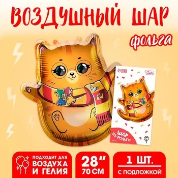 Воздушный шар фольгированный 28