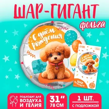 Воздушный шар фольгированный 31