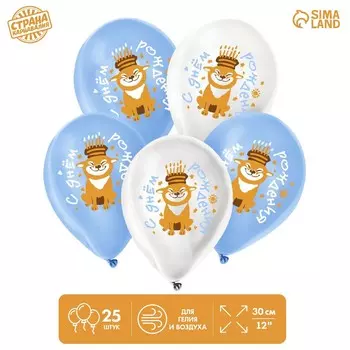 Воздушный шар латексный 12