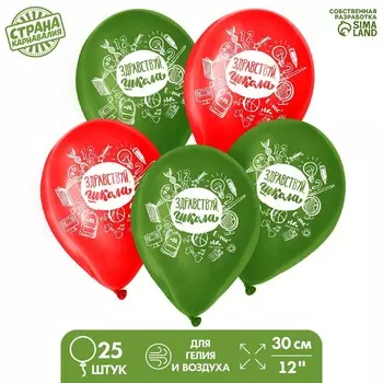 Воздушный шар латексный 12