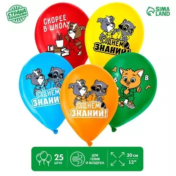 Воздушный шар латексный 12