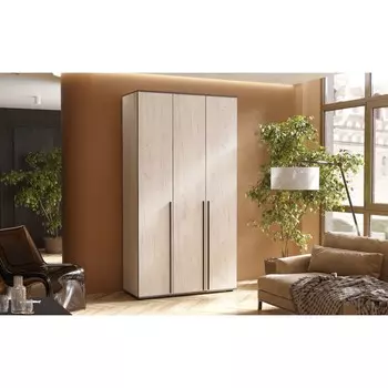 Шкаф трехстворчатый