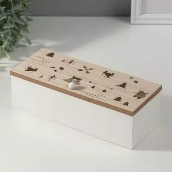 Шкатулка для чая с делениями