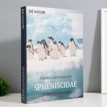 Шкатулка-книга