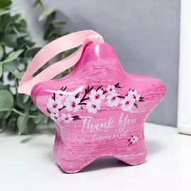 Шкатулка металл звёздочка