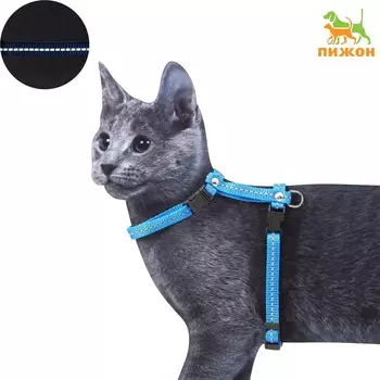 Шлейка для кошек, ширина 1 см, светоотражающий, ош 16,5-27 см, ог 21-35 см, синий