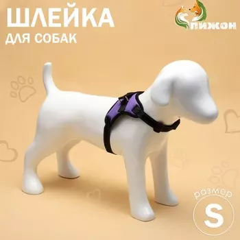 Шлейка к7 мягкая светоотражающая, размер s, ог 44-55 см, вес 5-9 кг, фиолетовая