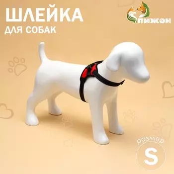 Шлейка к7 мягкая светоотражающая, размер s, ог 44-55 см, вес 5-9 кг, красная
