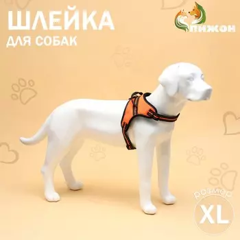 Шлейка к7 мягкая светоотражающая, размер xl, ог 74-92 см, вес 28-47,5 кг, оранженвая