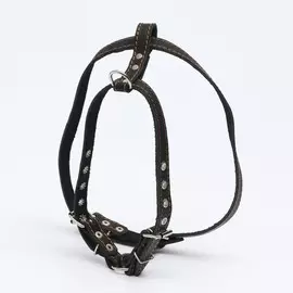 Шлейка кожаная