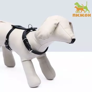 Шлейка кожаная, 1,2 см, для кошек и мелких пород собак, ош 26-34, ог 36-44, черная