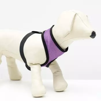 Шлейка мягкая из неопрена, размер l, ош 39 см, ог 36-46 см, фиолетовая