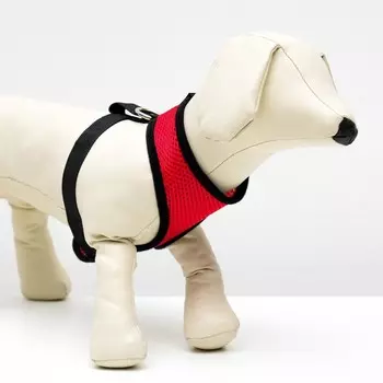 Шлейка мягкая из неопрена, размер l, ош 39 см, ог 36-46 см, красная