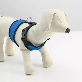 Шлейка мягкая из неопрена, размер l, ош 39 см, ог 36-46 см, синяя