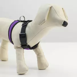 Шлейка мягкая из неопрена, размер s, ош 24 см, ог 24-34 см, фиолетовая