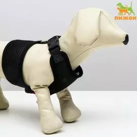 Шлейка мягкая из неопрена, размер xl, ош 42 см, ог 38-50 см, черная