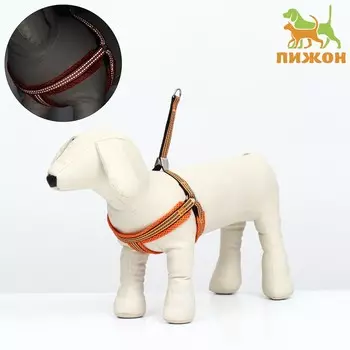 Шлейка супермягкая со светоотражающей прошивкой, размер м, обхват 32-63 см, оранжевая