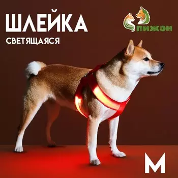 Шлейка светящаяся размер m, стропа 2.5 см, ог 38-50 см, 3 режима свечения красная