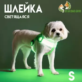 Шлейка светящаяся размер s, стропа 2.5 см, ог 32-40 см, 3 режима свечения зеленая