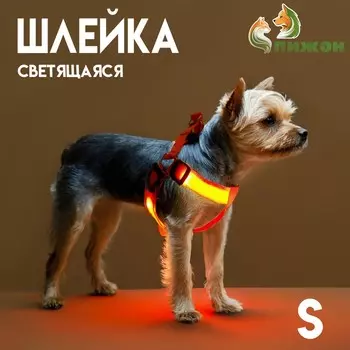 Шлейка светящаяся размер s, стропа 2.5 см, ог 32-40 см, 3 режима свечения оранжевая