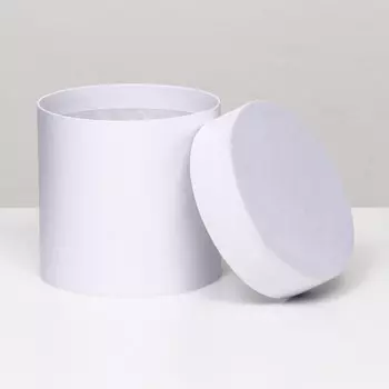 Шляпная коробка белая, 1010 см
