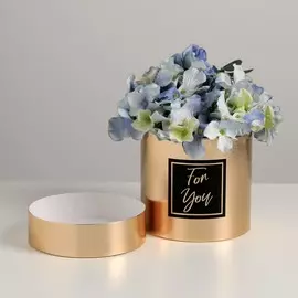 Шляпная коробка