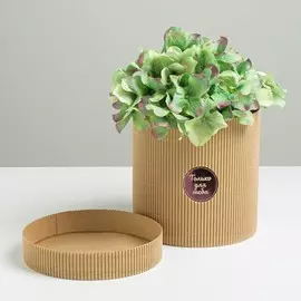 Коробка подарочная шляпная из микрогофры, упаковка,