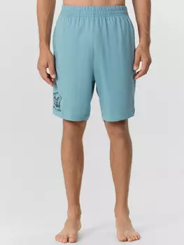 Шорты мужские голубые