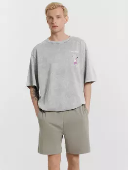 Шорты мужские серые