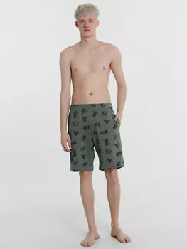 Шорты мужские серые с медведями