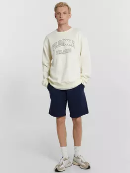 Шорты мужские синие