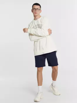 Шорты мужские в синем цвете