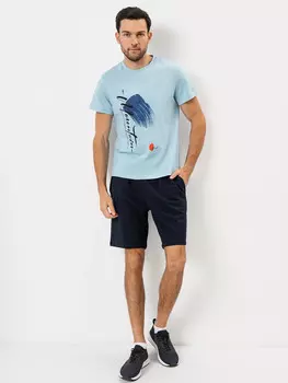 Шорты мужские в темно-синем цвете