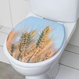 Сиденье для унитаза