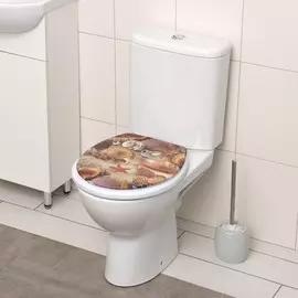 Сиденье для унитаза с крышкой