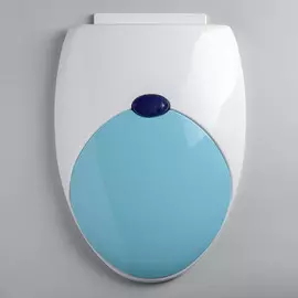 Сиденье для унитаза с крышкой