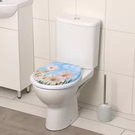 Сиденье для унитаза с крышкой доляна