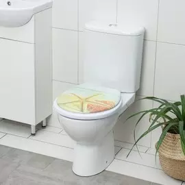 Сиденье для унитаза с крышкой доляна