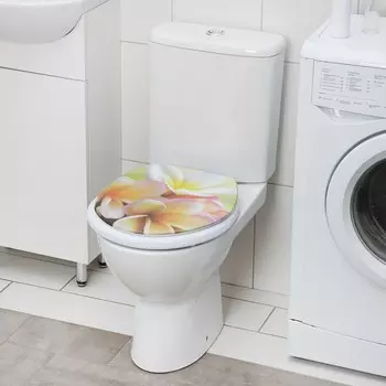 Сиденье для унитаза с крышкой