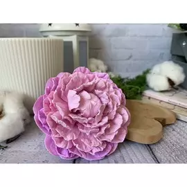 Силиконовая форма