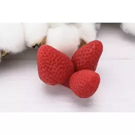 Силиконовая форма