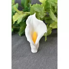 Силиконовая форма