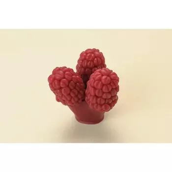 Силиконовая форма