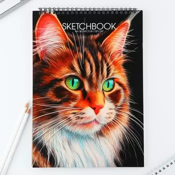 Скетчбук а4, 40 л. 100 г/м