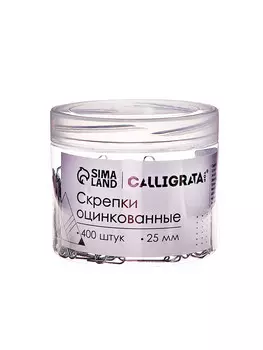 Скрепки 25 мм оцинкованные в пластиковой тубе 400 штук